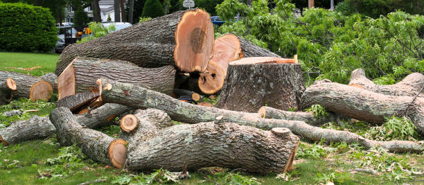  , USA Tree Services Pros